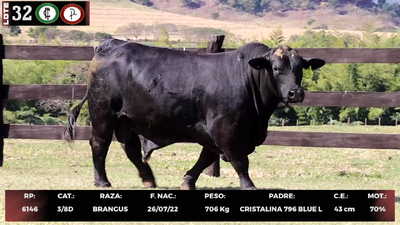 Lote LOTE 32