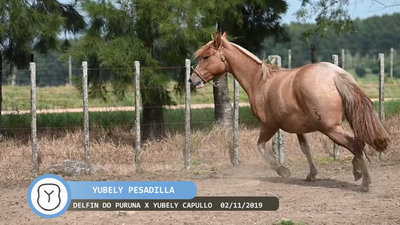 Lote Yúbely Pesadilla