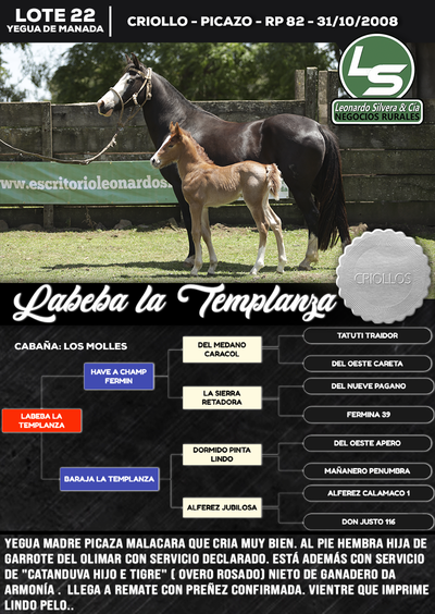 Lote LABEBA LA TEMPLANZA