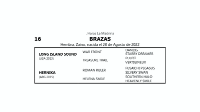 Lote BRAZAS (LONG ISLAND SOUND  -  HERNIKA  por ROMAN RULER)