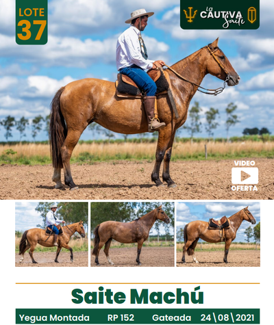 Lote LOTE 37