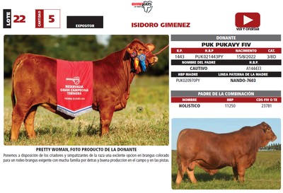 Lote LOTE 22