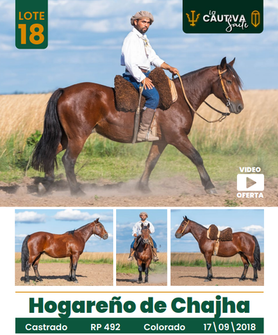Lote LOTE 18