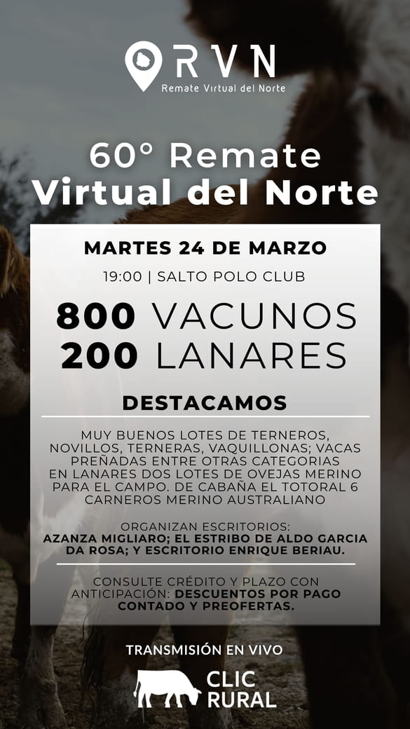 60º Remate Virtual del Norte