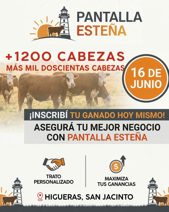 Pantalla Esteña
