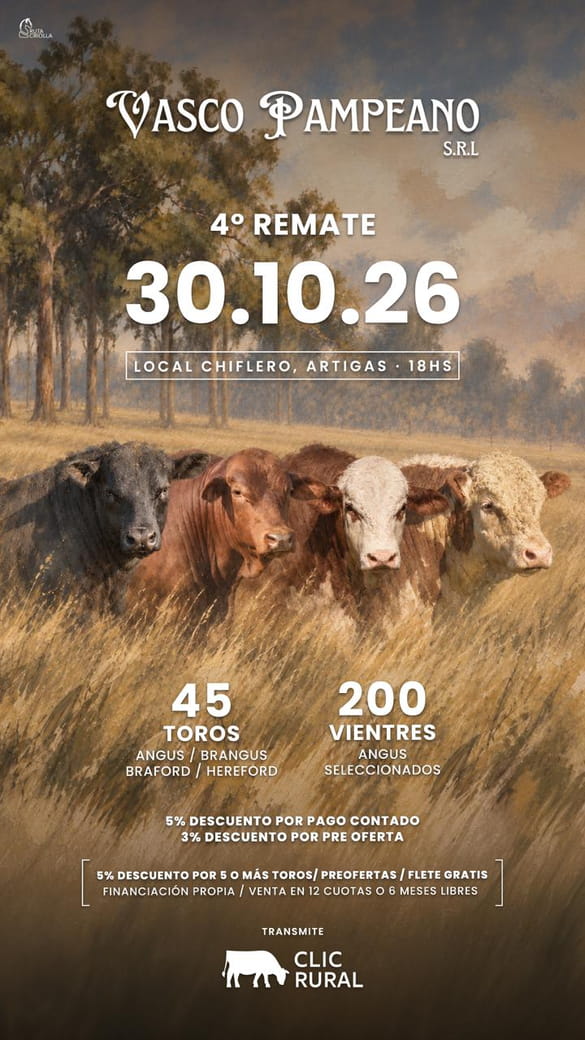 4º Vasco Pampeano