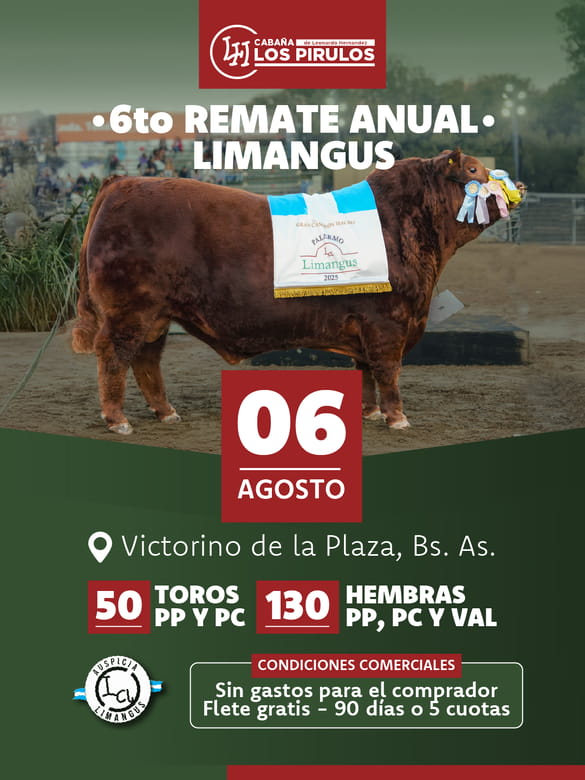 6to Remate Anual - Limangus
