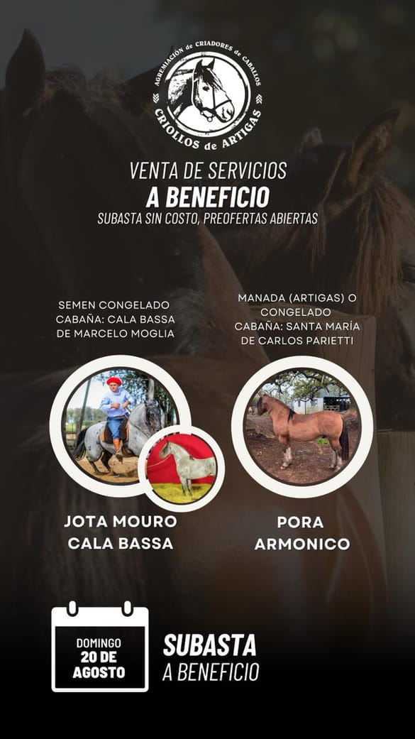 Remate de servicios a beneficio