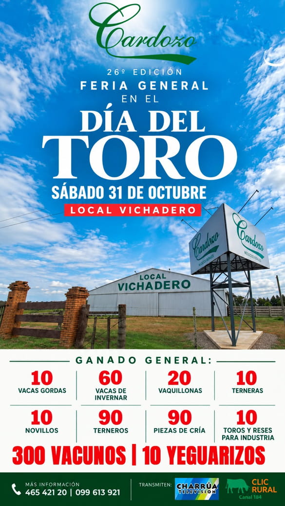Dia del Toro