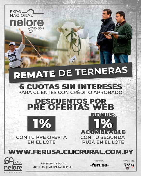 Expo Nacional Nelore - TERNERAS