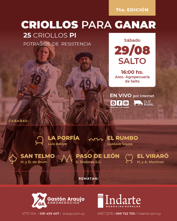  7º Edición - Criollos para ganar