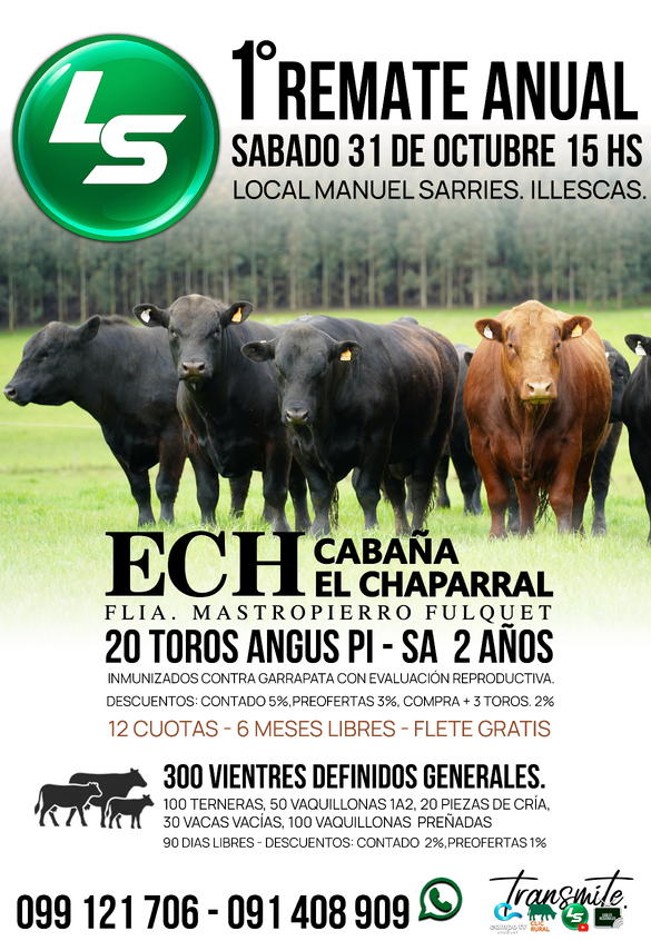 1ER REMATE DE TOROS "EL CHAPARRAL" 