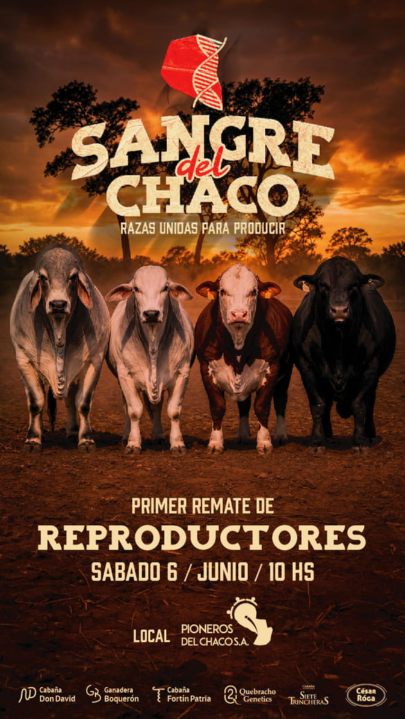 Sangre del Chaco