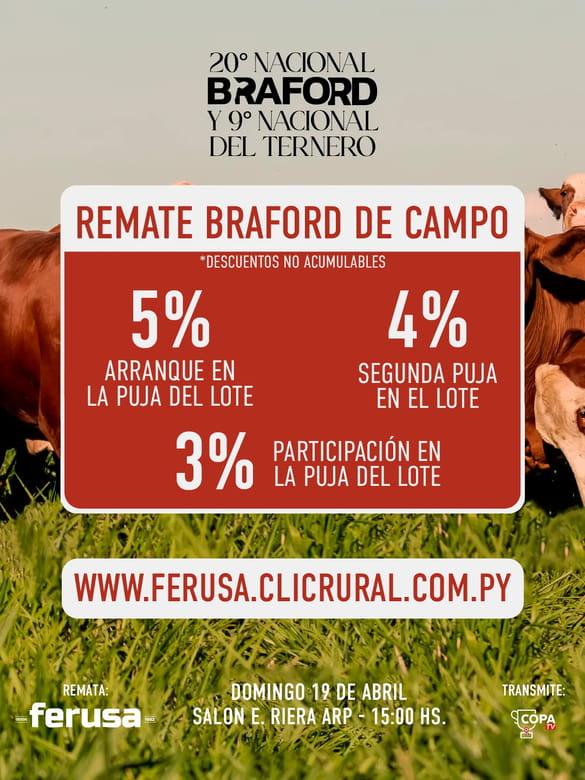 REMATE BRAFORD DE CAMPO
