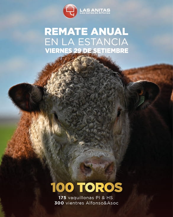 Remate Las Anitas Los Toros de Alfonso 2023
