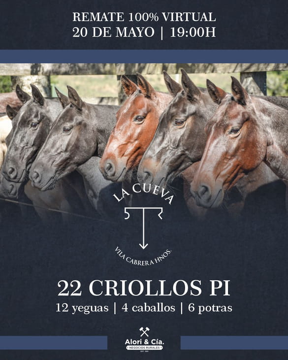 La Cueva - Vila Cabrera Hnos