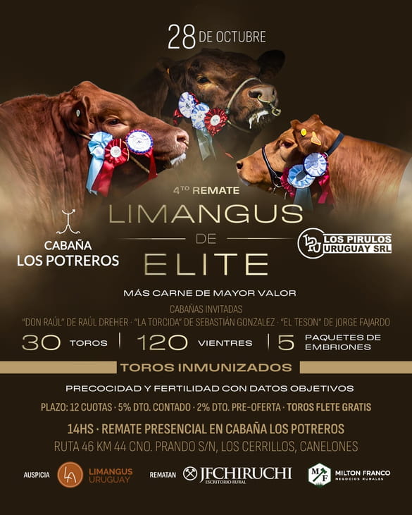 4º Limangus de Elite / Los Potreros - Los Pirulos Uruguay