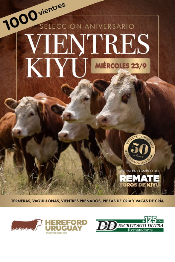 Vientres Kiyu
