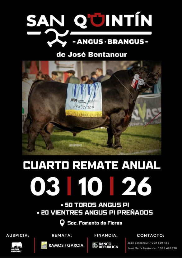 San Quintin