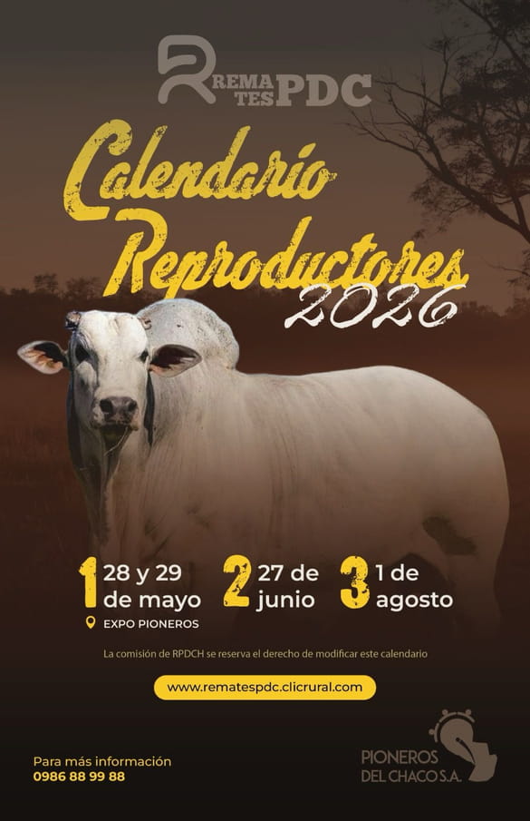 Expo Pioneros