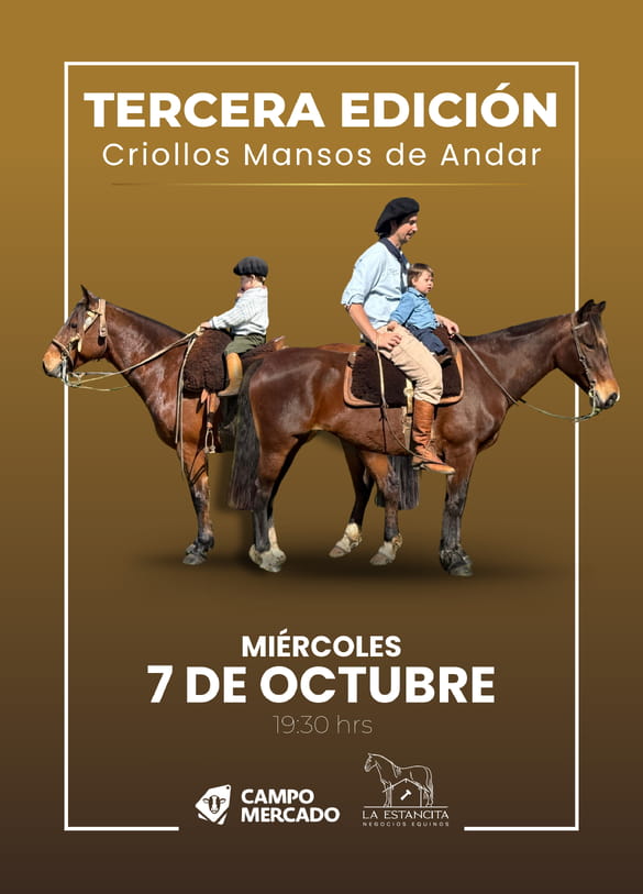 Criollos Mansos de Andar