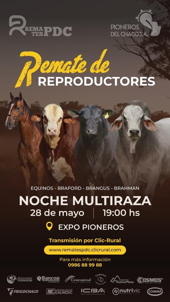 Remate de Reproductores - Noche Multiraza