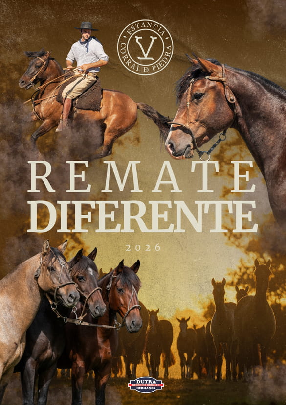Remate Diferente - Corral de Piedra