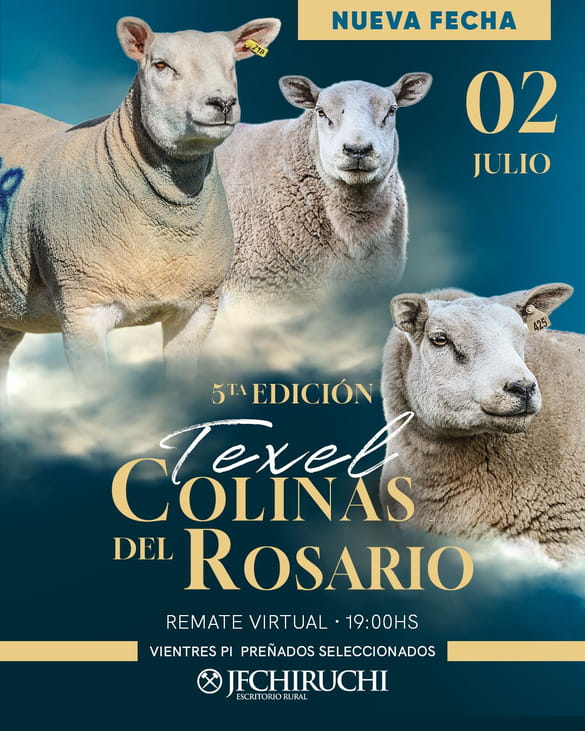 5to Remate Anual - Colinas del Rosario