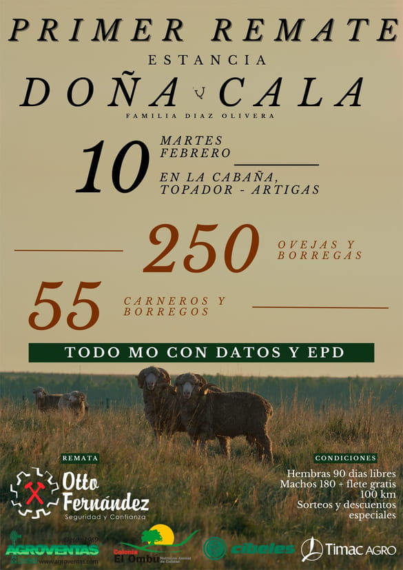 DOÑA CALA