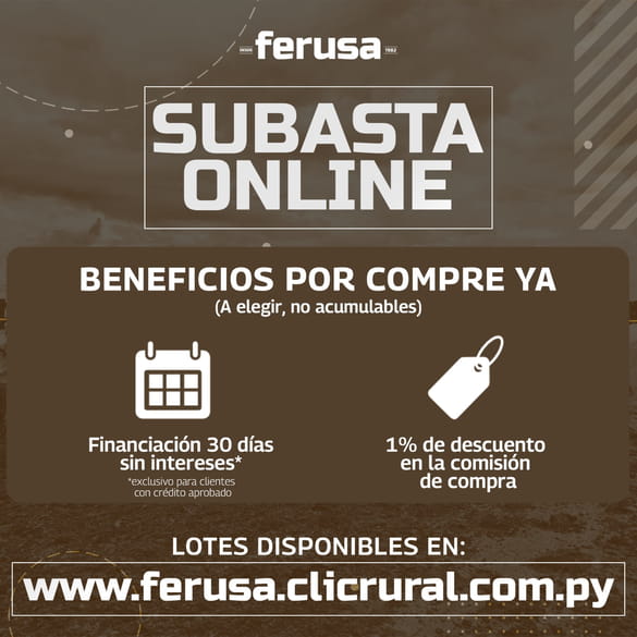 SUBASTA ONLINE