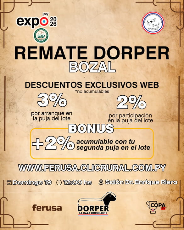 Remate Bozal Dorper - Expo Paraguay MRA 2026