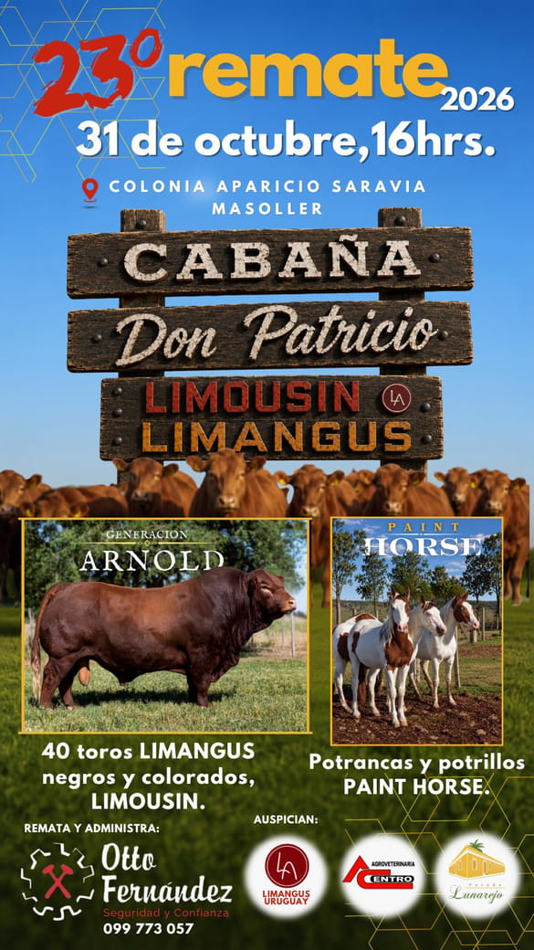 23º Cabaña Don Patricio