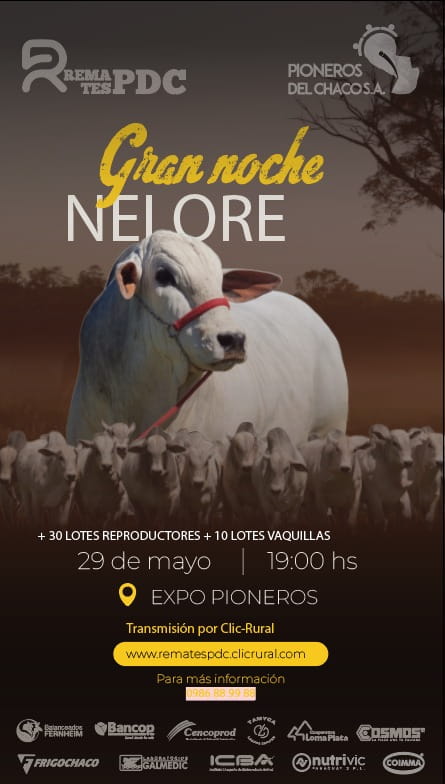 Gran Noche Nelore / PDC