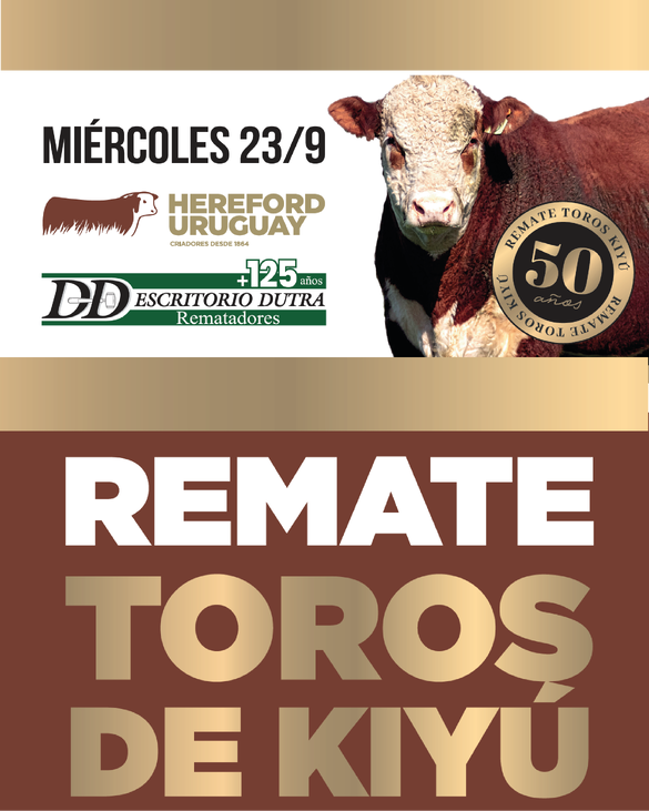 Toros en Kiyu