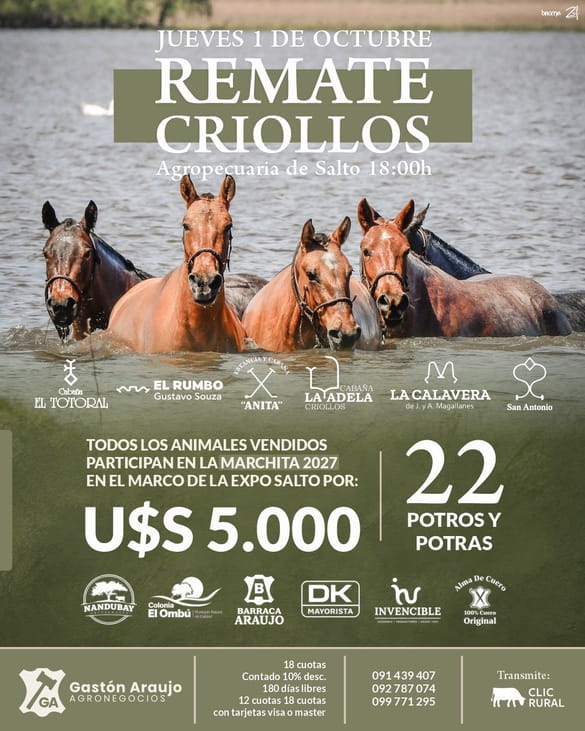 Remate Criollos