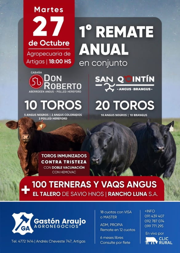 1º Don Roberto y San Quintin