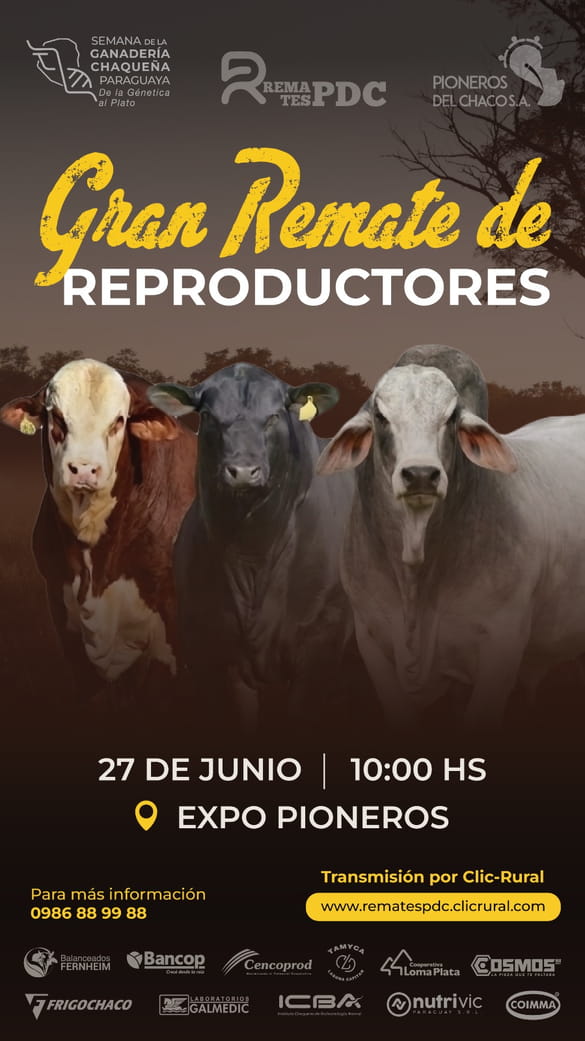 Pioneros del Chaco SA