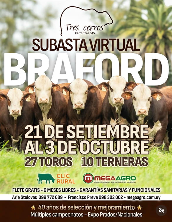 Subasta Virtual Braford - Tres Cerros