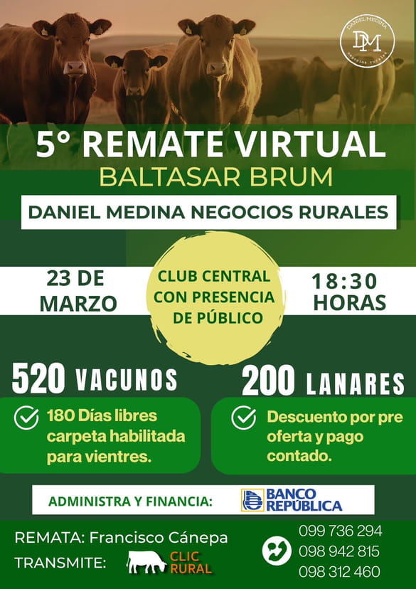 5º Remate Virtual