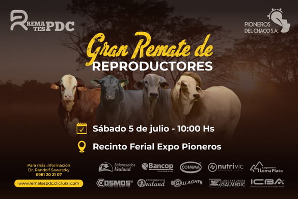 Sábado 5 de Julio - Gran Remate de Reproductores