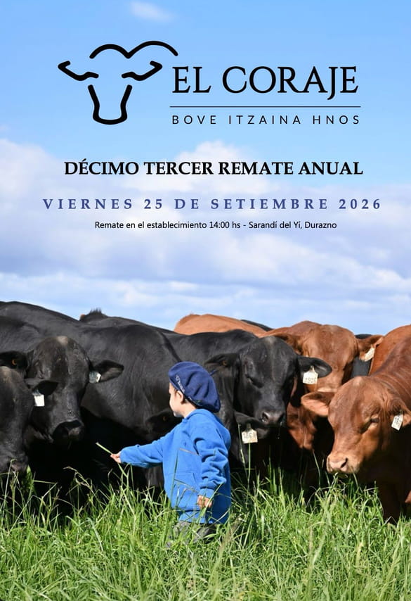 13º El Coraje