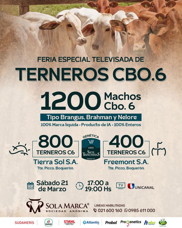 FERIA ESPECIAL FREEMONT - TIERRA SOL