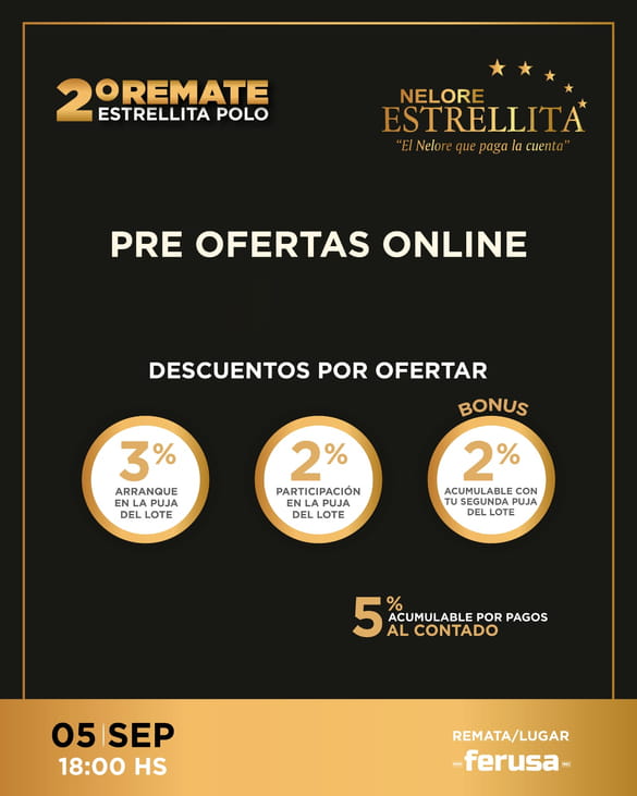 Remate Estrellita Polo