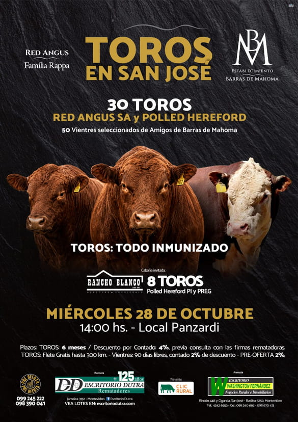6º Toros en San Jose - Barras de Mahoma