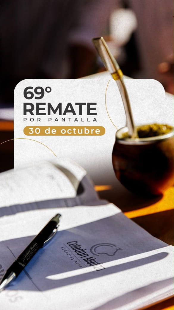 69º Remate por Pantalla