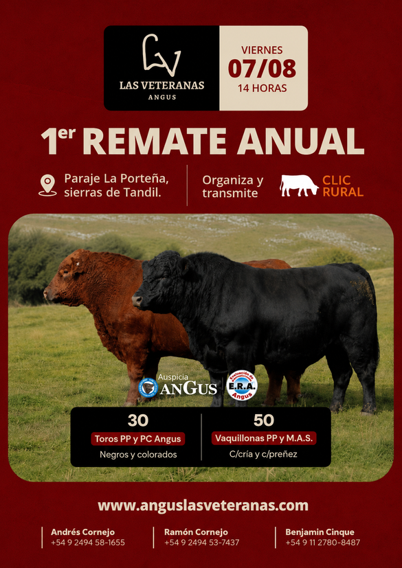 Primer remate anual
