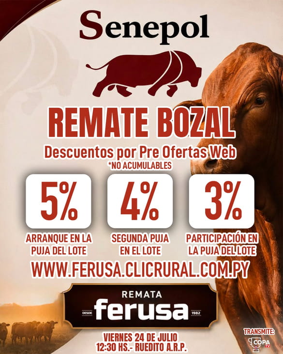 Remate Senepol de Bozal - Expo Paraguay M.R.A. 2026