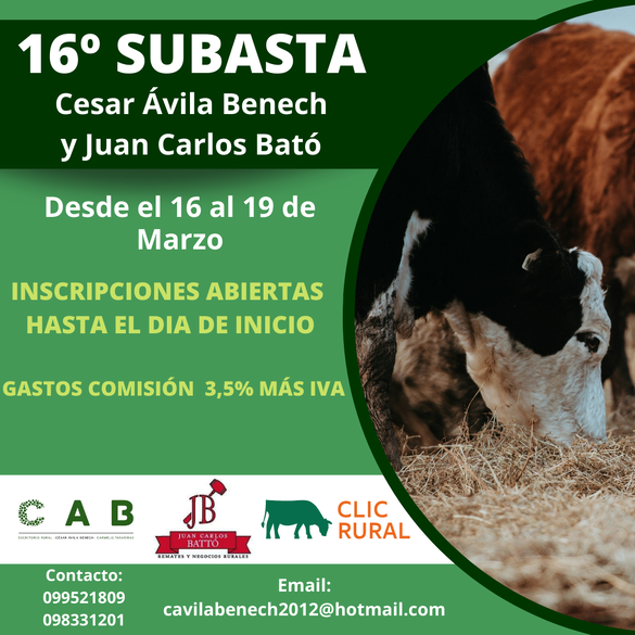 16° Subasta CAB