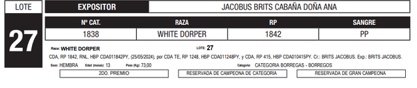 Lote LOTE 27