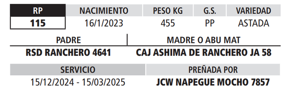Lote LOTE 12